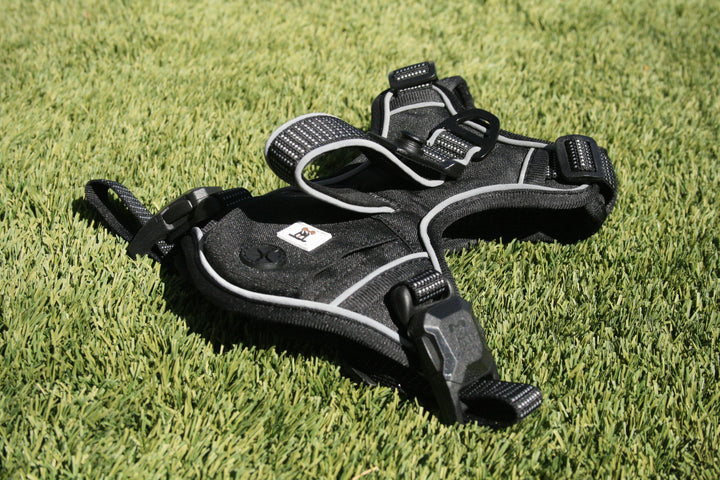 MagnePup-Harness-Black