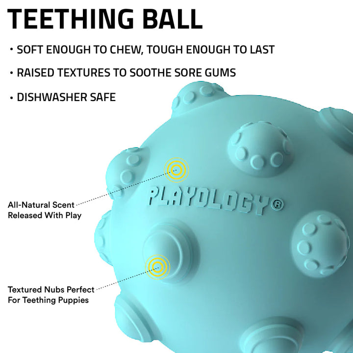 PuppyTeethingBallPBblue